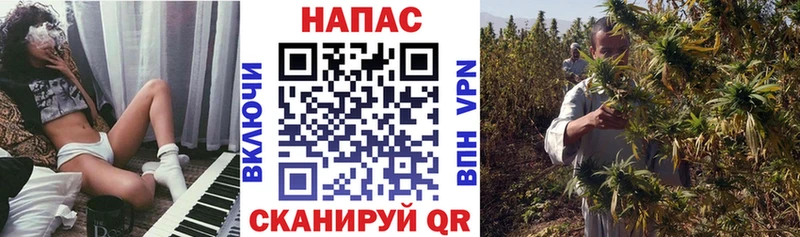 Шишки марихуана индика Мосальск